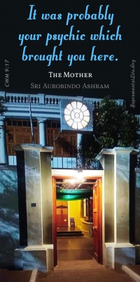 Psychic brought You Here.jpg